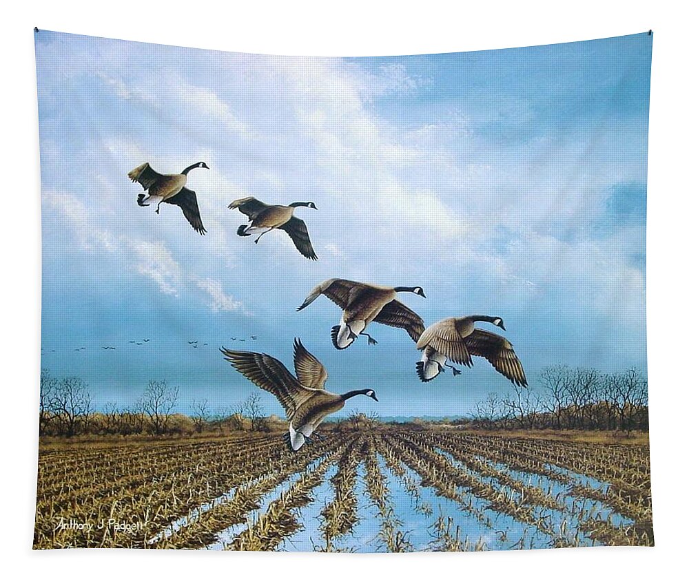 Canada Goose Tapestry featuring the painting Canadian Cold Front by Anthony J Padgett