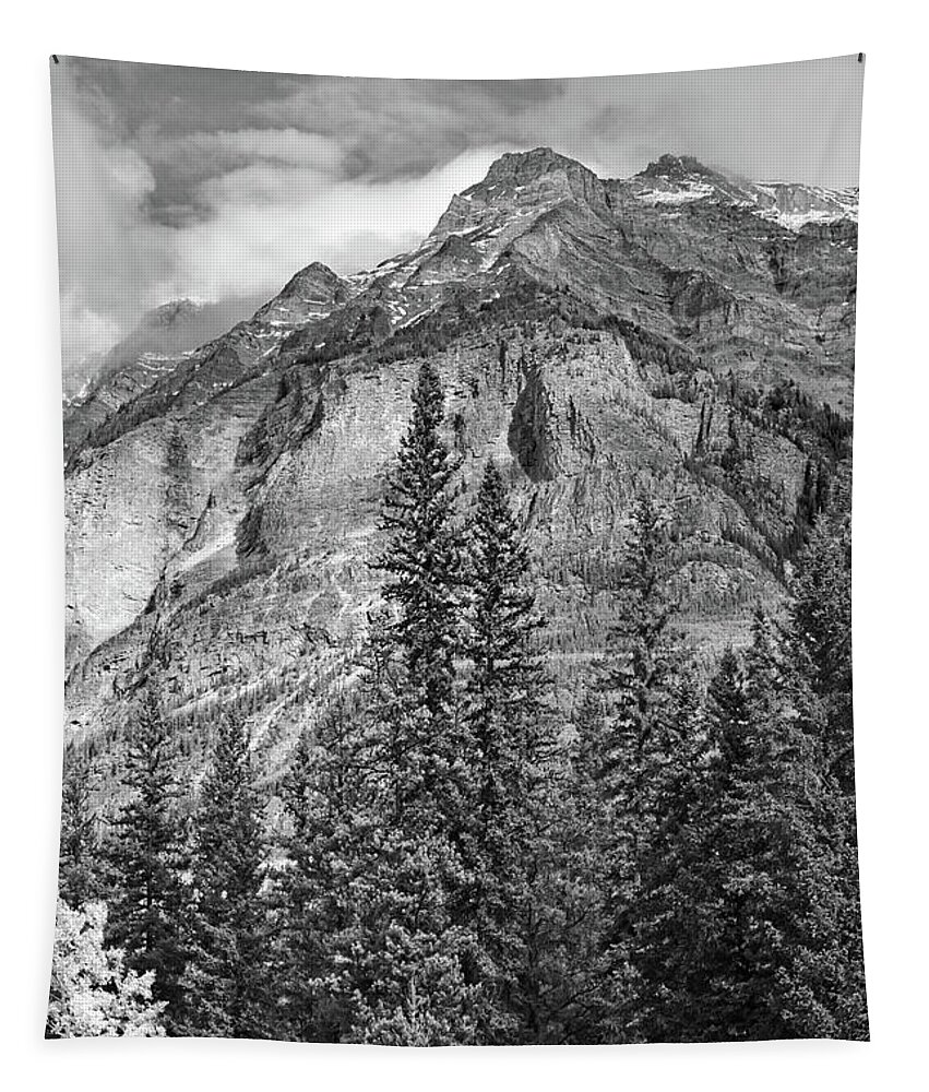 Canadian Rockies Tapestry featuring the photograph Canadian Rockies No. 2-2 by Sandy Taylor