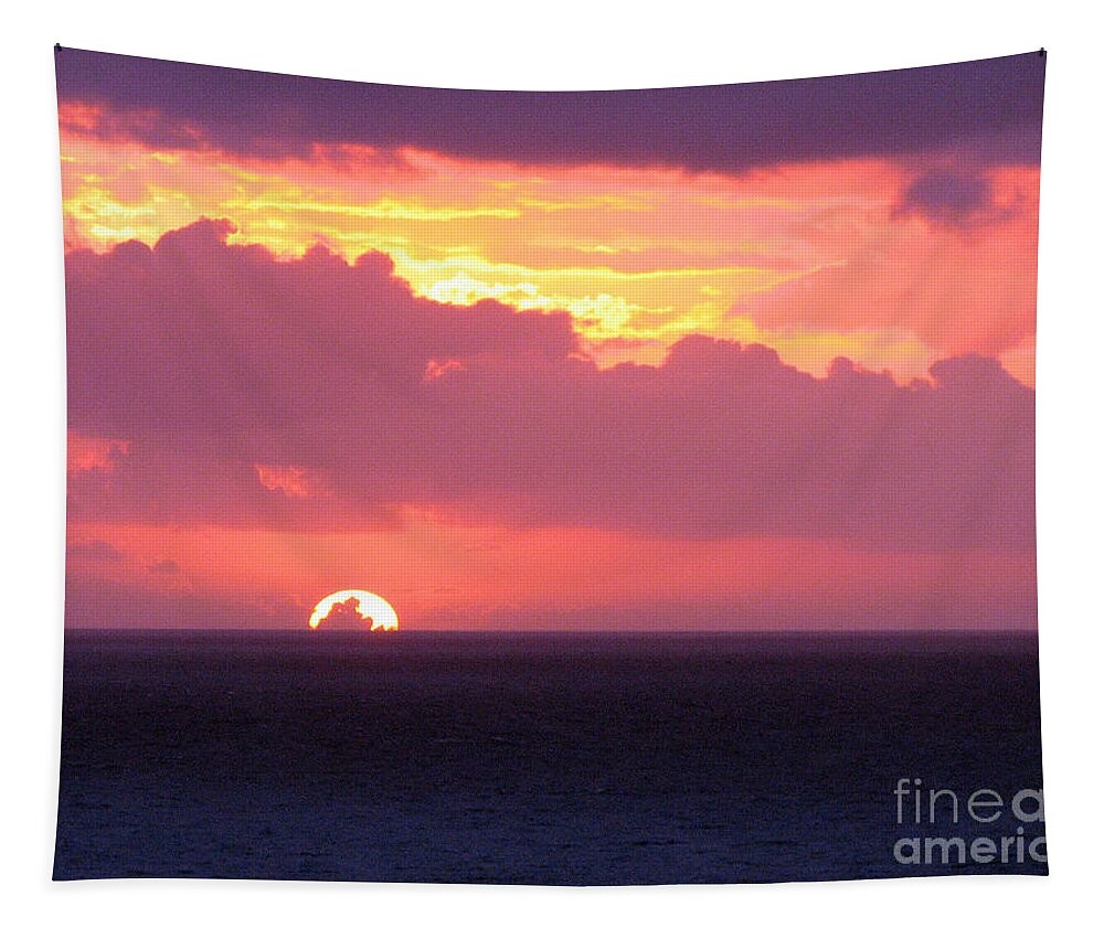 Sunrise Tapestry featuring the photograph Sunrise Interrupted by Rick Locke - Out of the Corner of My Eye