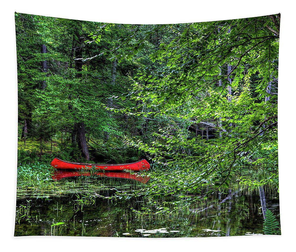 Canoe On The Shore Tapestry featuring the photograph Canoe on the Shore by David Patterson