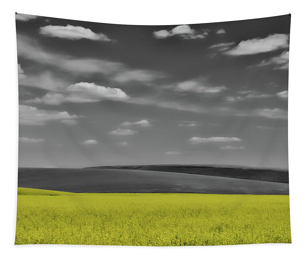 Agricultural Tapestry featuring the photograph Canola Field by Don Schwartz