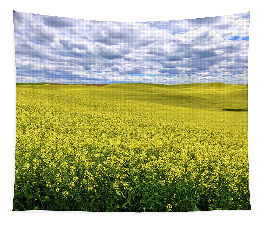 Canola On The Palouse Tapestry featuring the photograph Canola on the Palouse by David Patterson