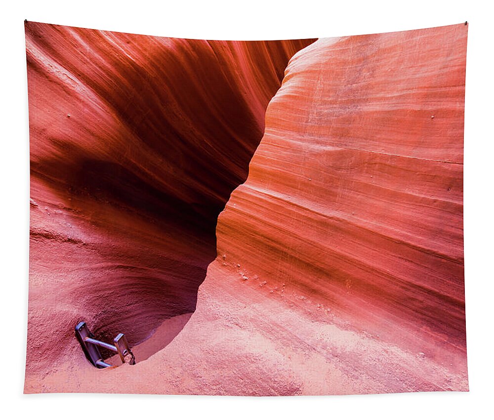Rattlesnake Canyon Tapestry featuring the photograph Canyon Ladder by Stephen Holst