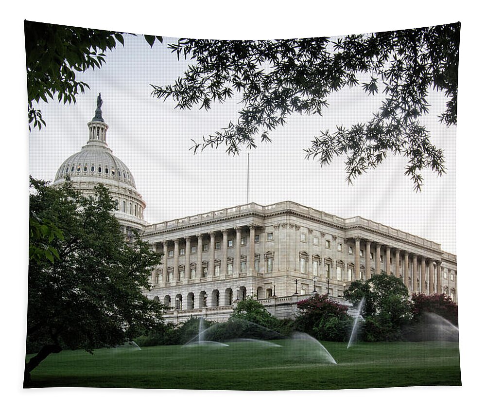 Us Capitol Building Tapestry featuring the photograph Capitol Lawn by Greg and Chrystal Mimbs