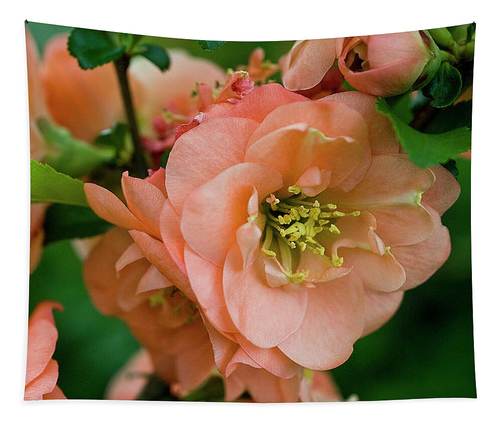 Jigsaw Puzzle Tapestry featuring the photograph Captivating Camellias by Carole Gordon