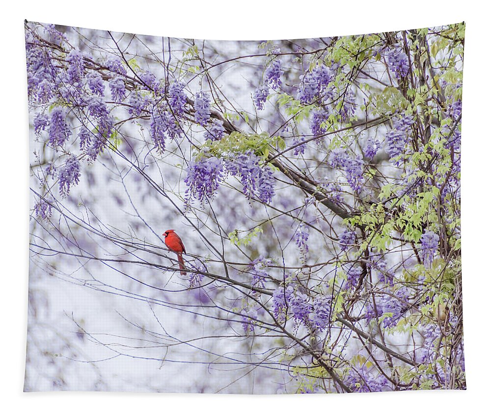 Wisteria Tapestry featuring the photograph Cardinal and wisteria by Andrea Anderegg