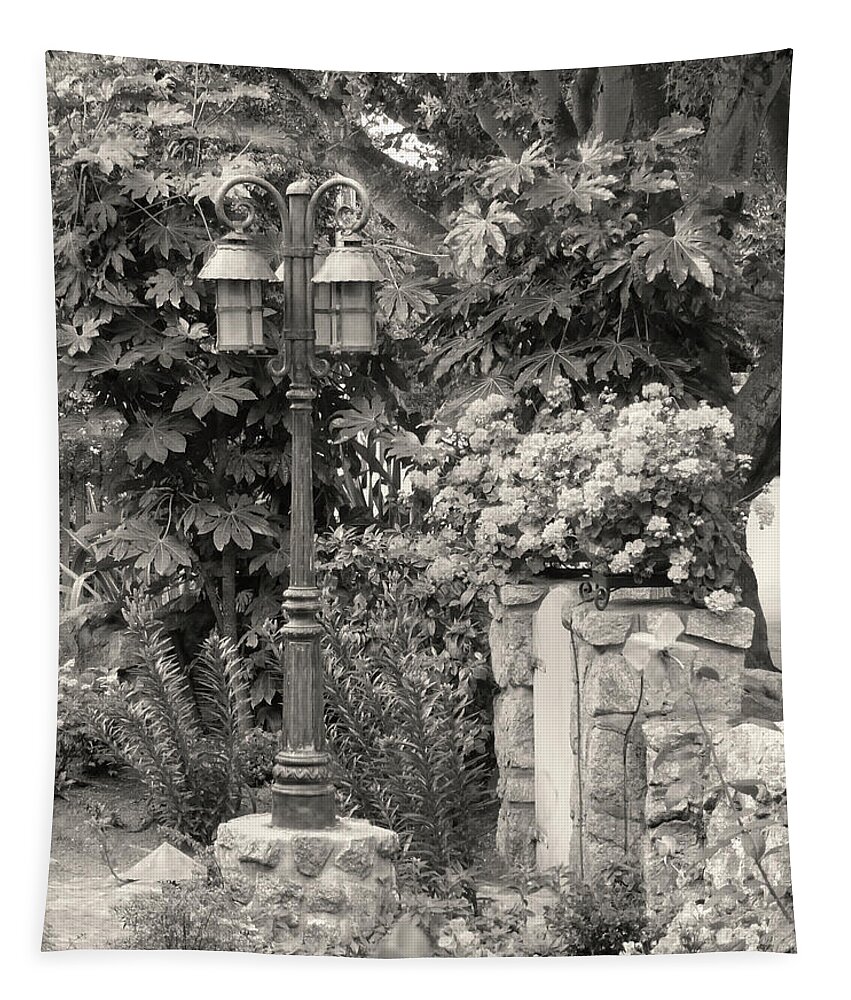 Sepia Tapestry featuring the photograph Carmel Garden by Gordon Beck