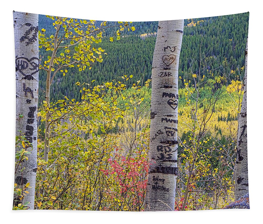Carved Tapestry featuring the photograph Carved Names and Initials in Autumn Aspen Trees by James BO Insogna