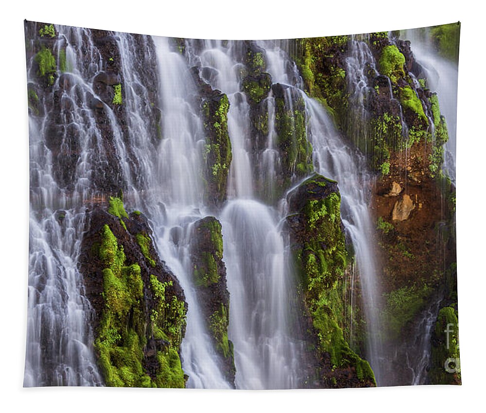 Waterfall Tapestry featuring the photograph Cascade Panoramic by Anthony Michael Bonafede