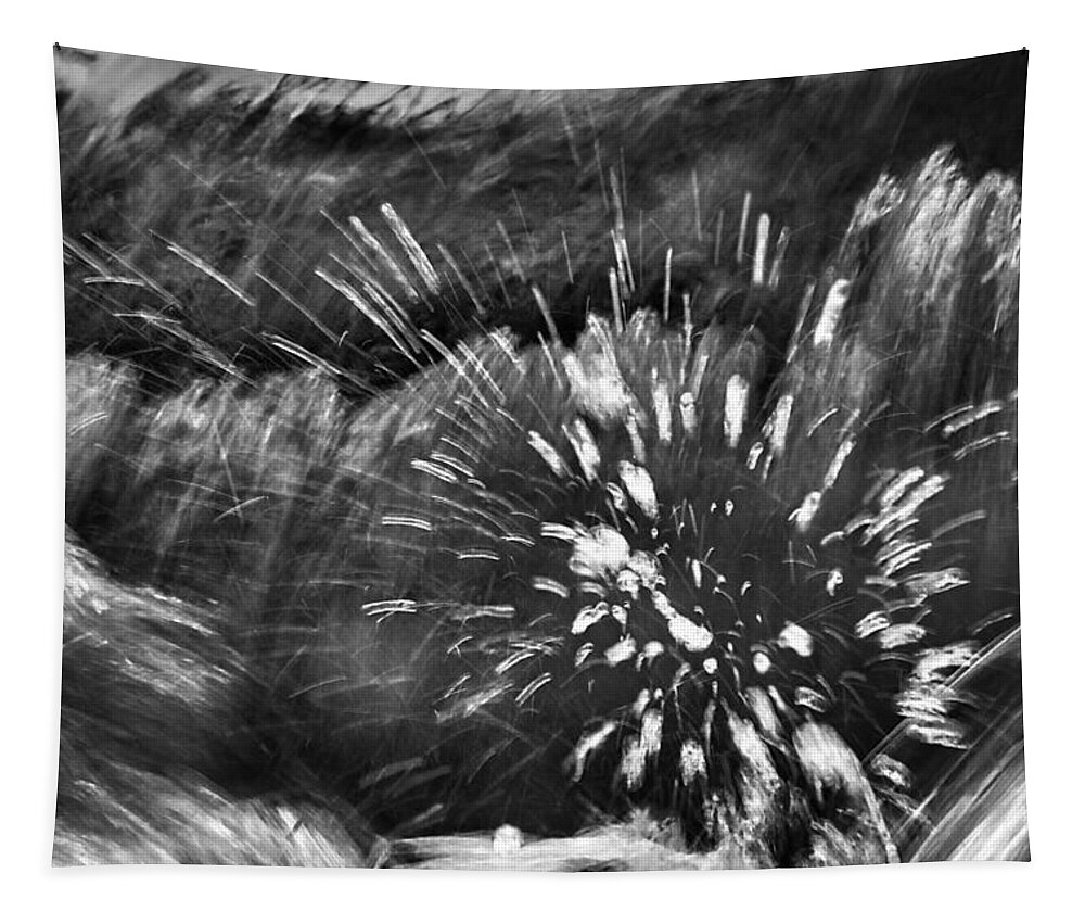 Abstract Tapestry featuring the photograph Cascade Abstract - Black and White by Stuart Litoff