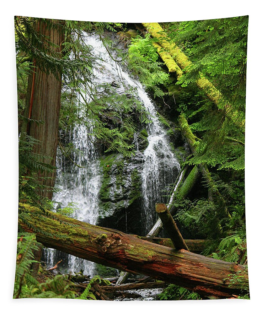 Cascade Falls Tapestry featuring the photograph Cascade Falls - Orcas Island by Art Block Collections