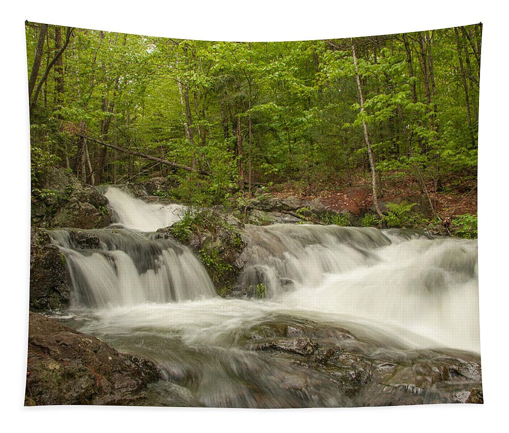 Brook Falls Tapestry featuring the photograph Cascades on the Brooks Falls Trail by Brenda Jacobs