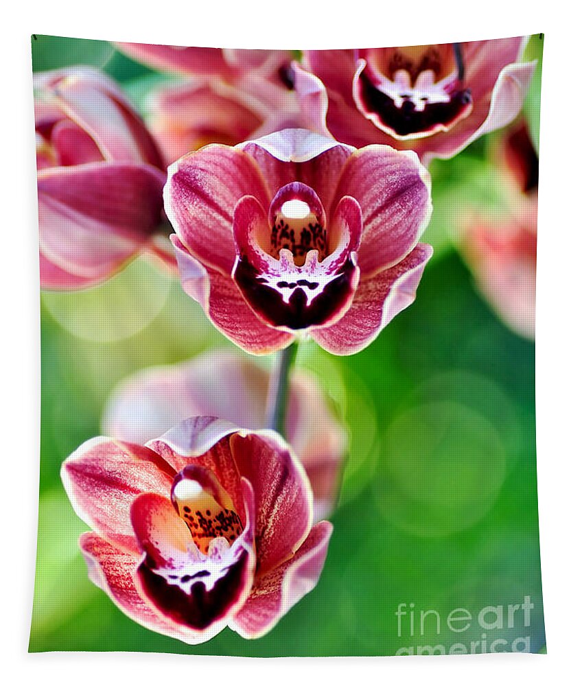 Photography Tapestry featuring the photograph Cascading Miniature Orchids by Kaye Menner