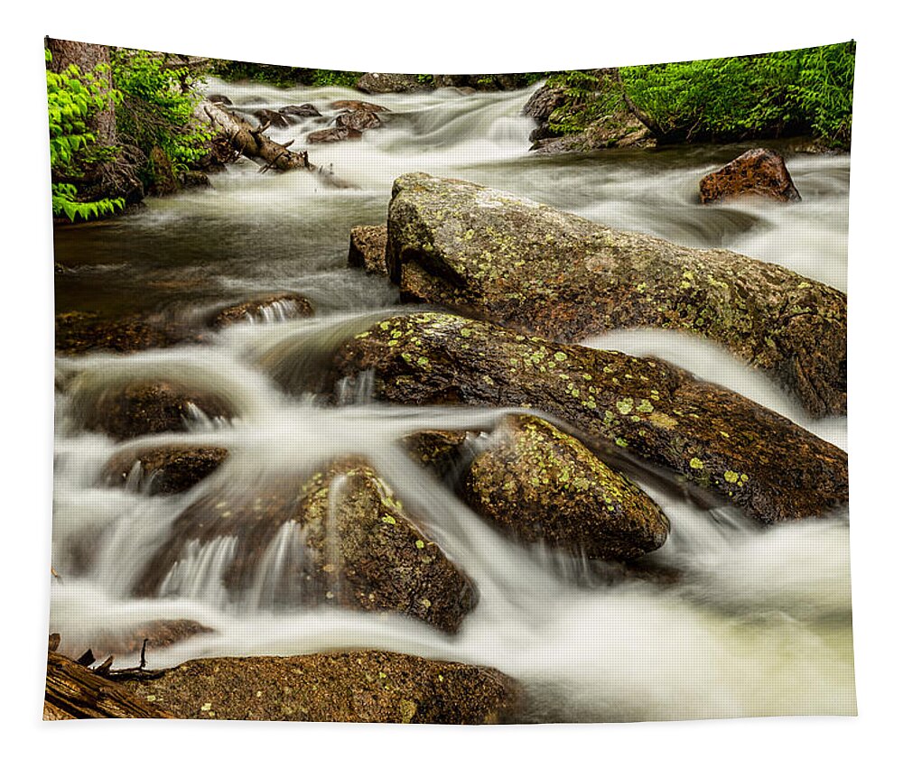 Rocky Tapestry featuring the photograph Cascading Water and Rocky Mountain Rocks by James BO Insogna