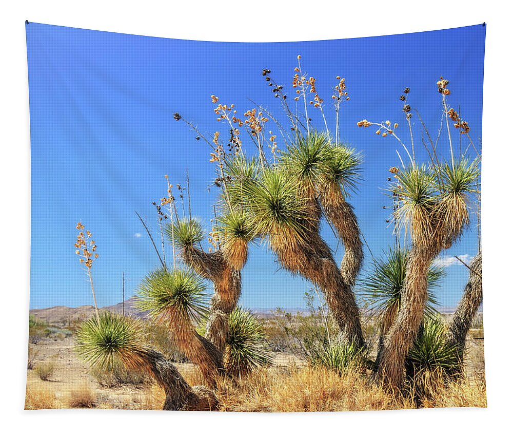 Big Bend National Park Tapestry featuring the photograph Cast of Desert Characters by Sylvia J Zarco