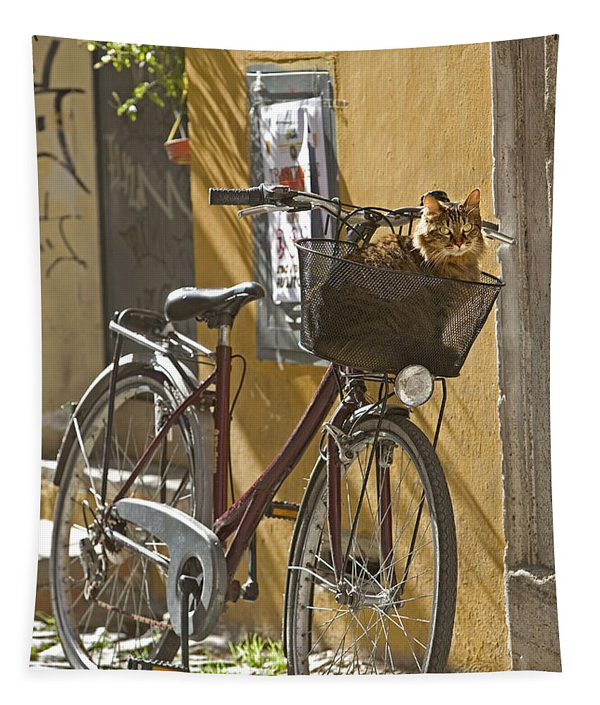 Cat Tapestry featuring the photograph Cat In Bike Basket by Jean-Michel Labat