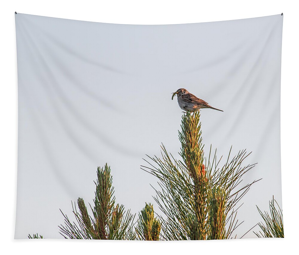 Avian Tapestry featuring the photograph Catch of the Day by Alana Thrower