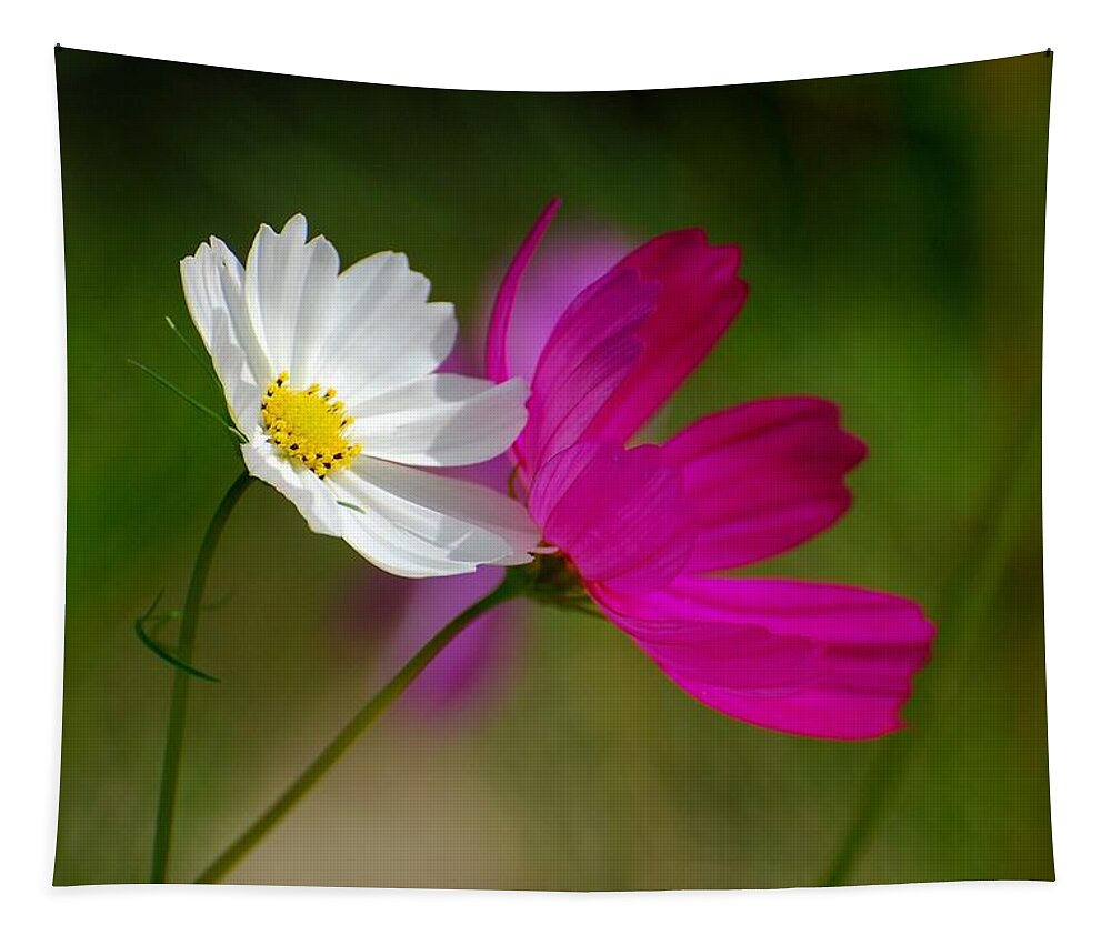 Cosmos Tapestry featuring the photograph Catching Light by Angie Tirado