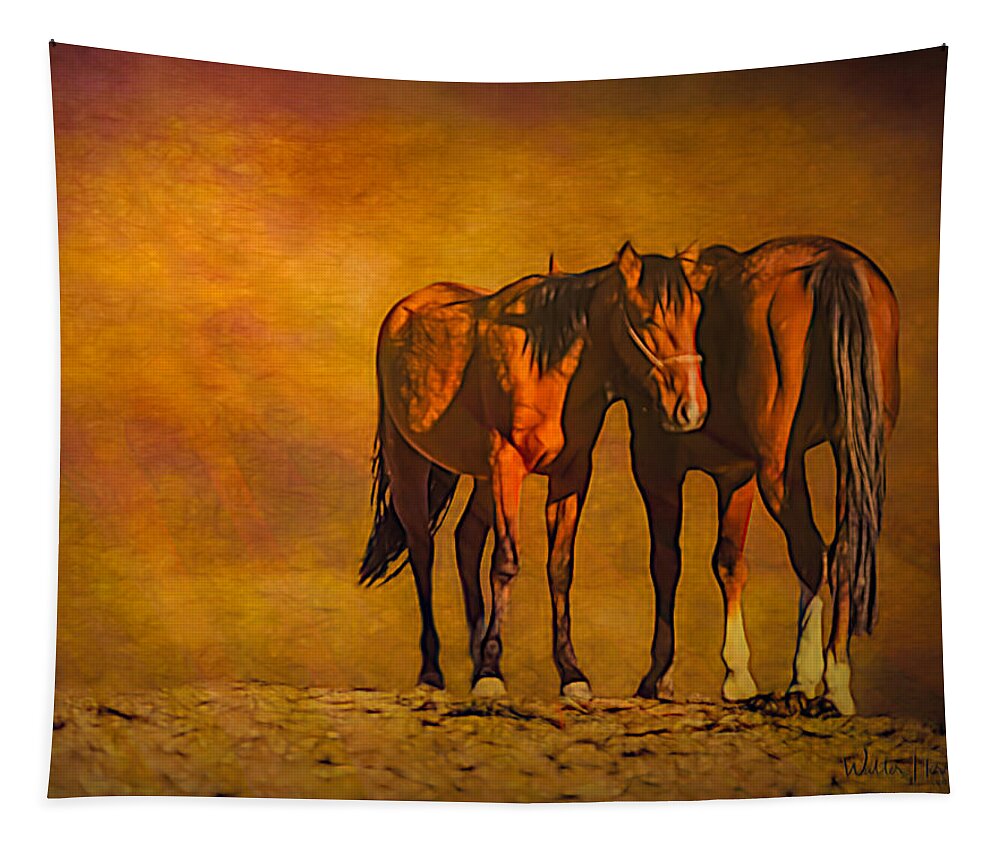 Horse Tapestry featuring the digital art Catching the Last Sun PhotoArt by Walter Herrit