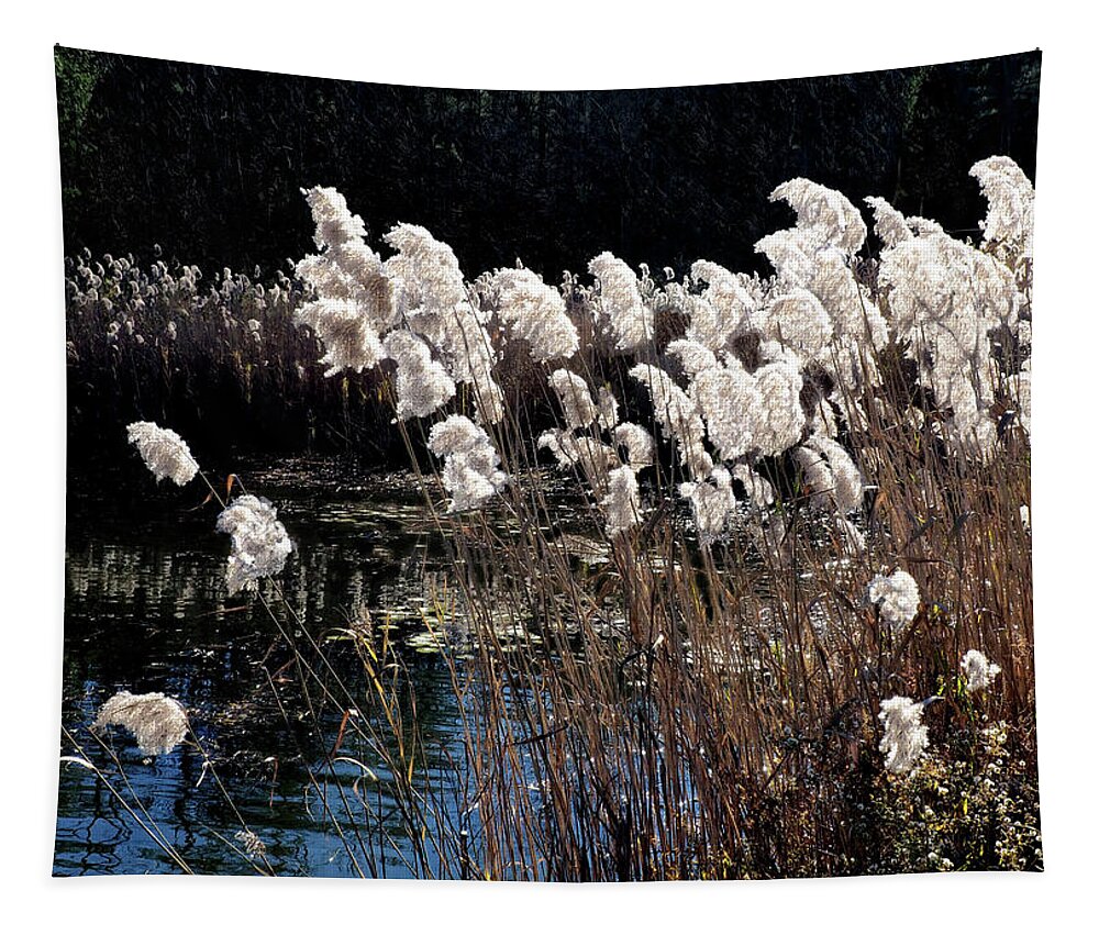 Cattails Tapestry featuring the photograph Cattails by Jim Hill