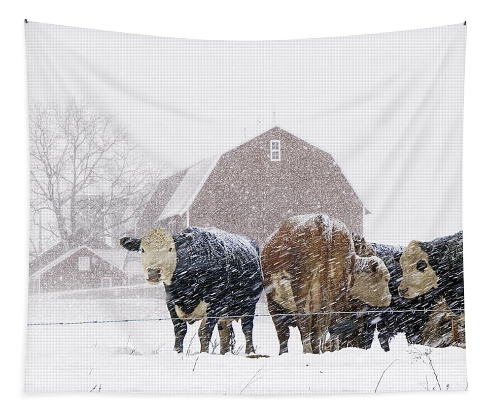 Farm Tapestry featuring the photograph Cattle Herd by the Barn during a Snowstorm by Randall Nyhof
