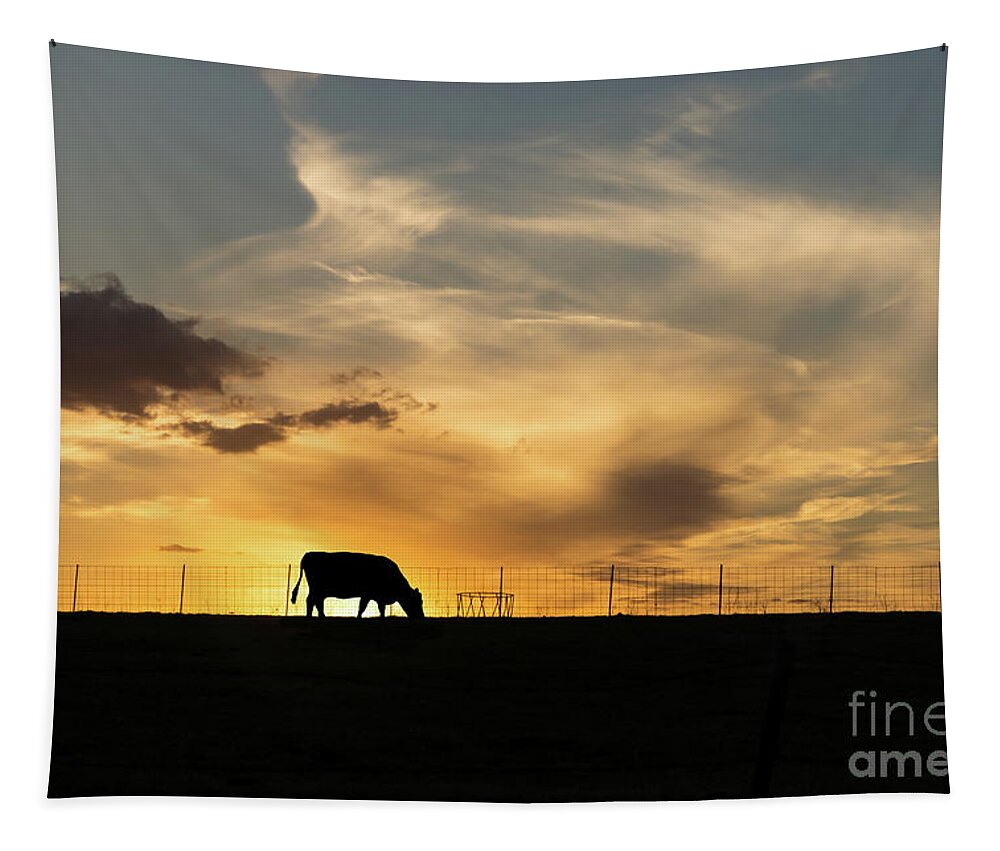 Cow Tapestry featuring the photograph Cattle Sunset Silhouette by Jennifer White