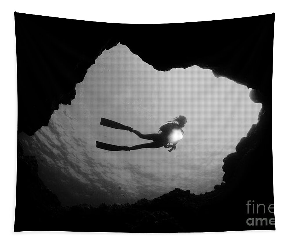 Art Medium Tapestry featuring the photograph Cave Diver - BW by Dave Fleetham - Printscapes