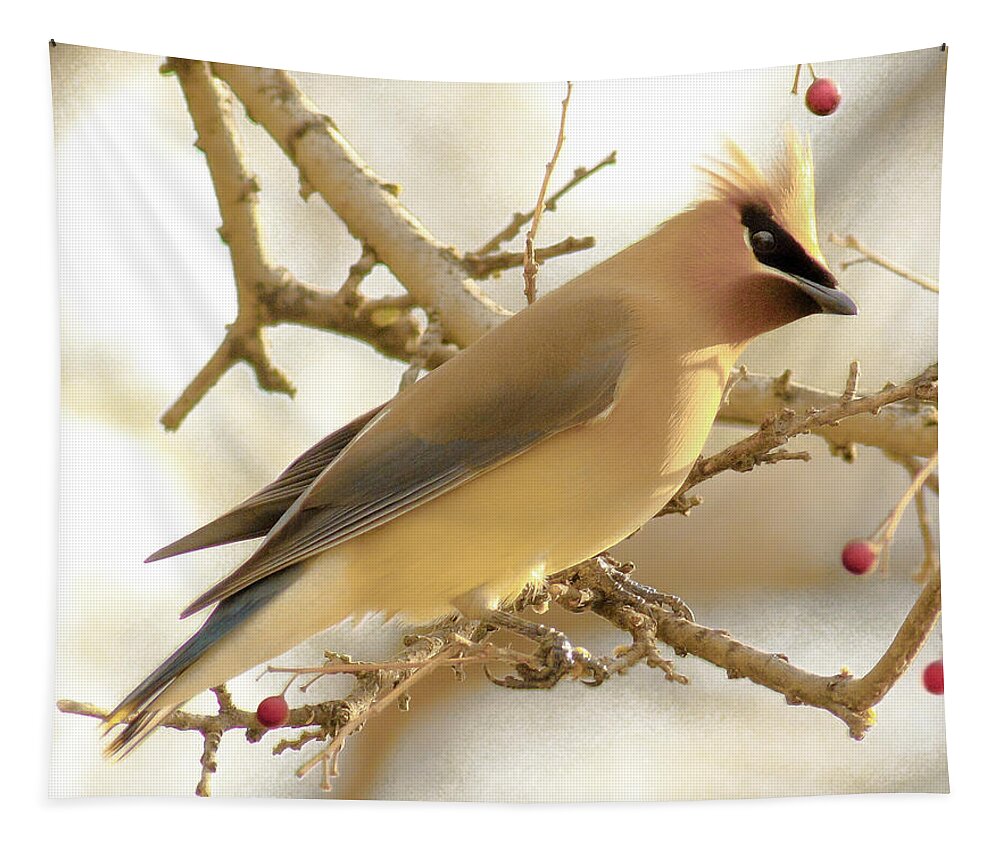 Nature Tapestry featuring the photograph Cedar Waxwing by Robert Frederick
