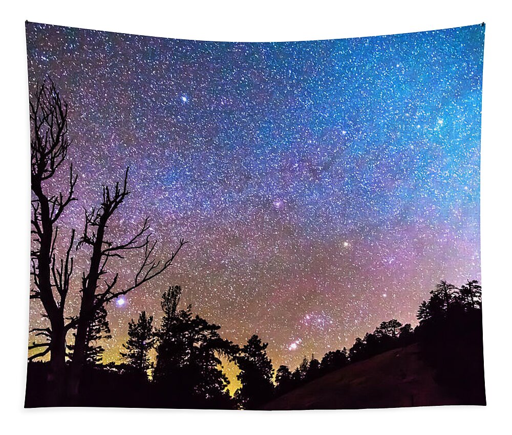 Sky Tapestry featuring the photograph Celestial Universe by James BO Insogna