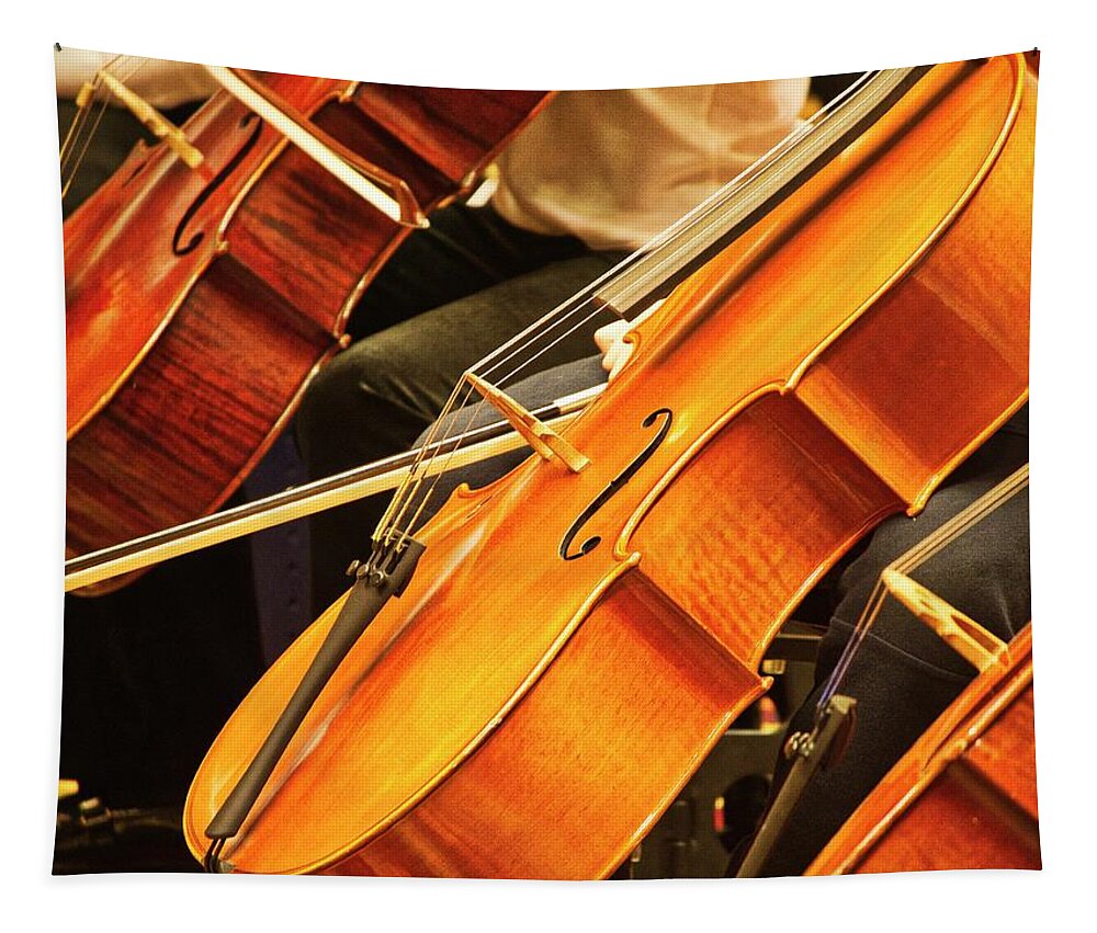 A Row Of Cellos At A Recent Suzuki Music Workshop In Madison Tapestry featuring the photograph Cellos by Steven Ralser