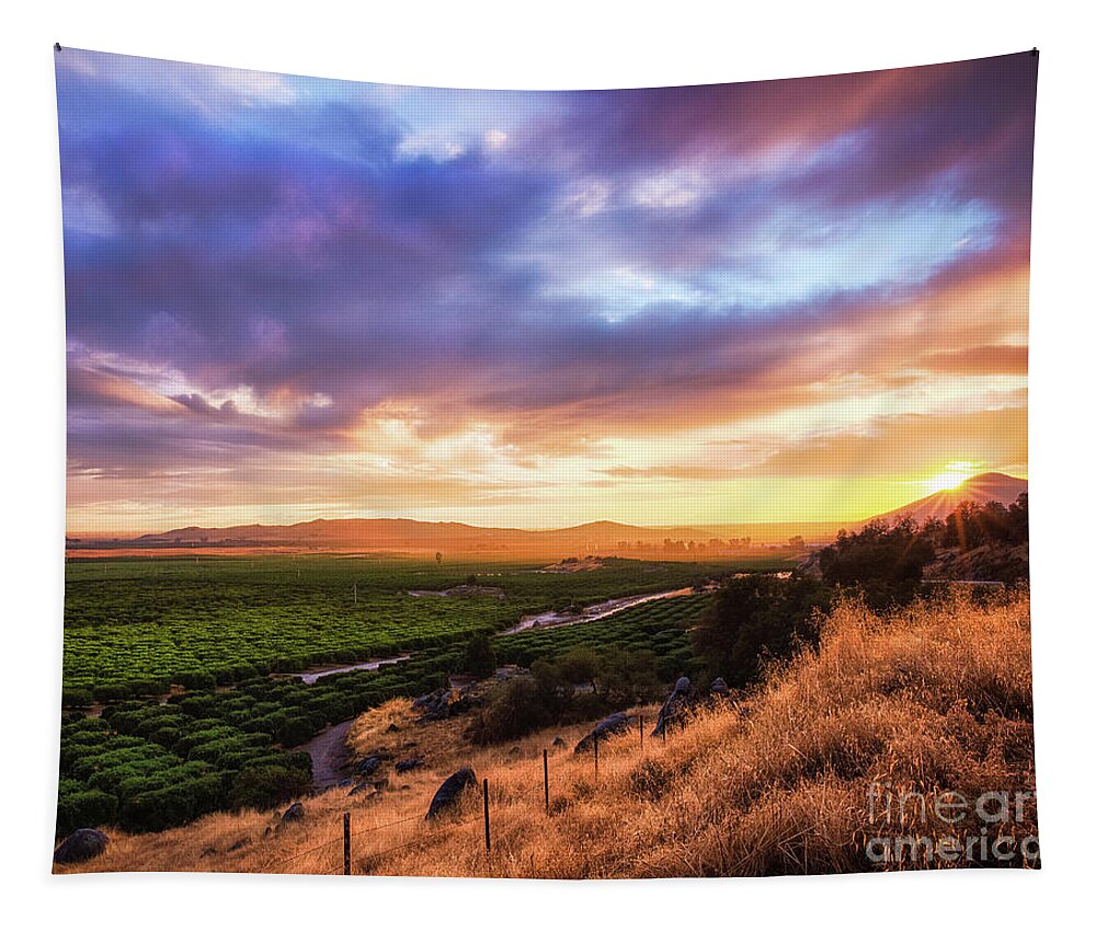 California Tapestry featuring the photograph Central Valley by Anthony Michael Bonafede