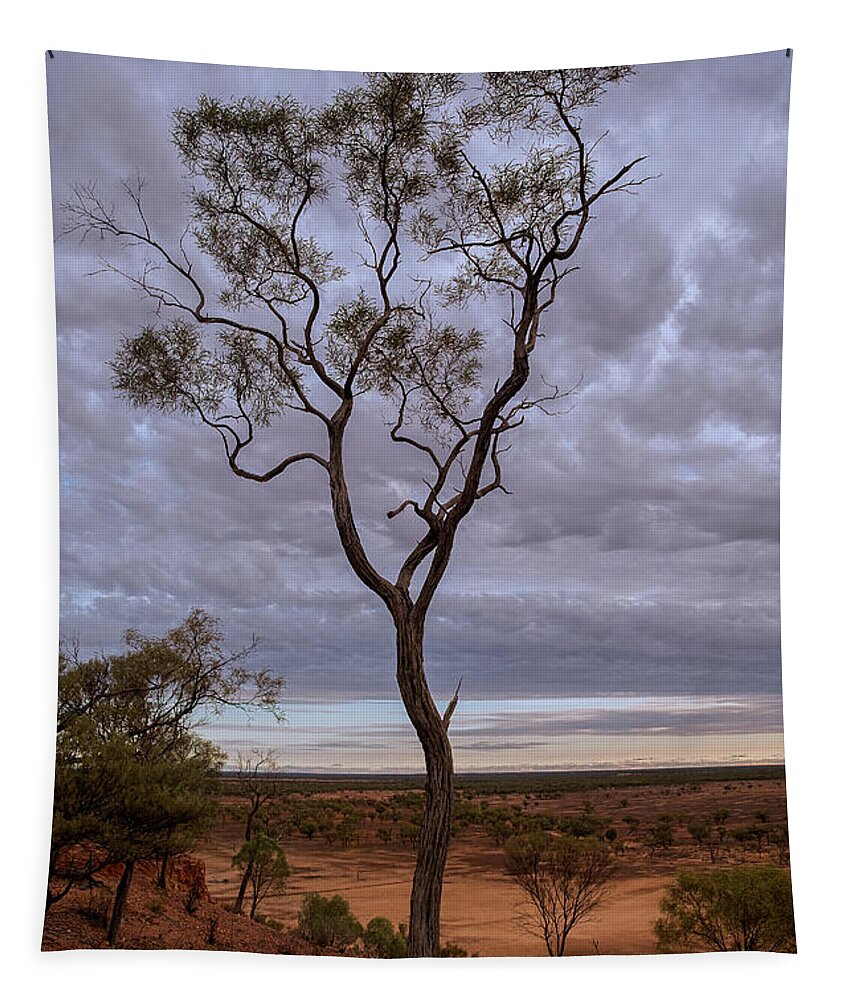 Tree Tapestry featuring the photograph Channel Country Tree by Catherine Reading