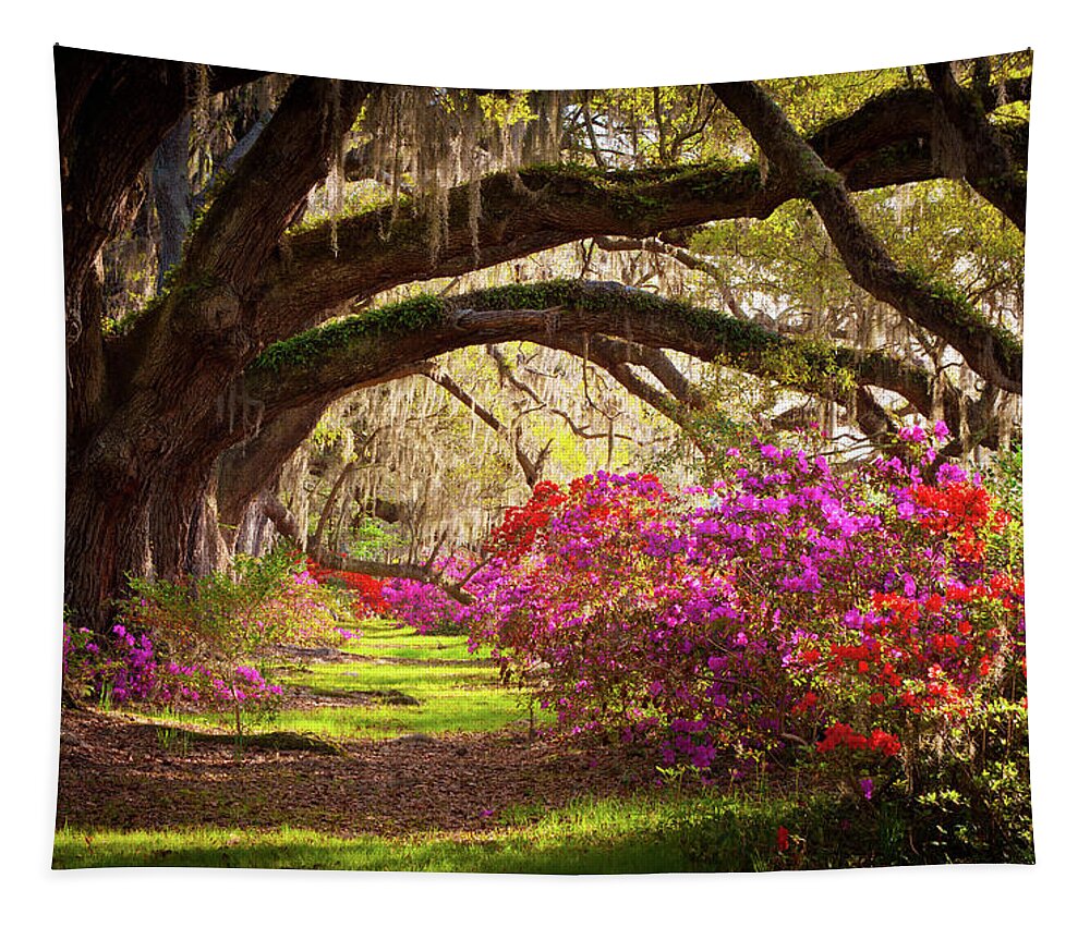 South Tapestry featuring the photograph Charleston SC Magnolia Plantation Gardens - Memory Lane by Dave Allen