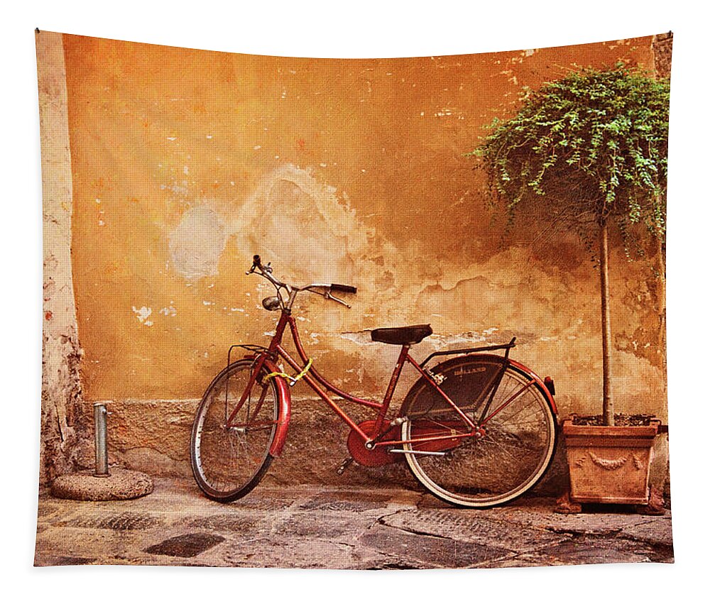 Italy Tapestry featuring the photograph Charming Lucca by Jill Love