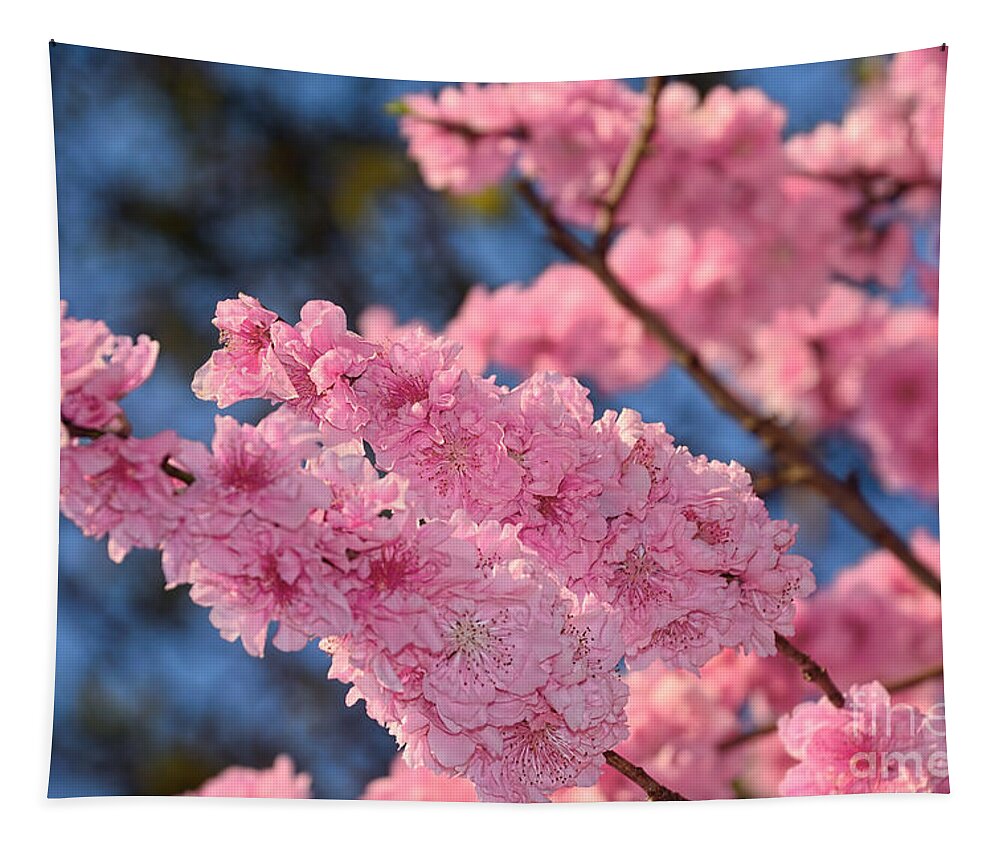 Photography Tapestry featuring the photograph Cherry Blossom Springtime by Kaye Menner by Kaye Menner