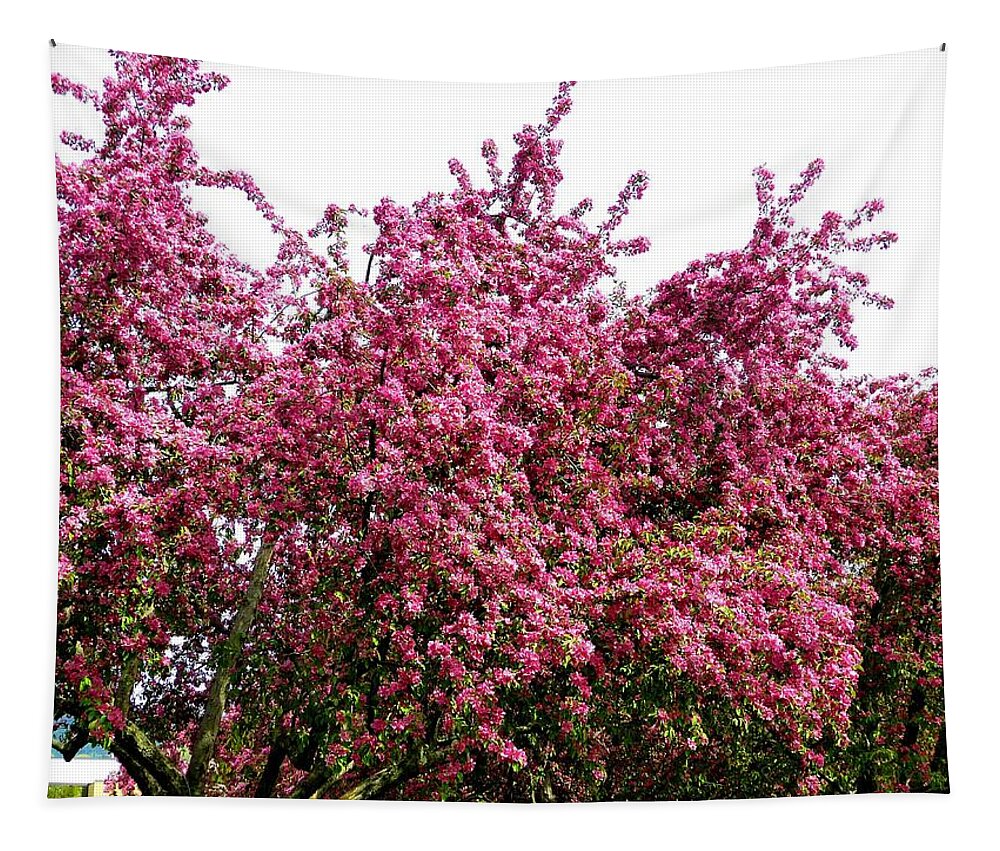 Cherry Blossoms Tapestry featuring the photograph Cherry Blossoms 2 by Will Borden