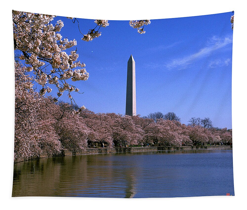 Scenic Tapestry featuring the photograph Cherry Blossoms on the Tidal Basin 15J by Gerry Gantt