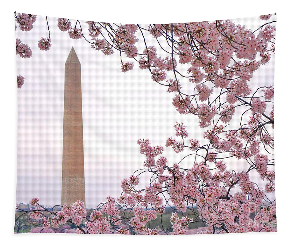 Washington Tapestry featuring the photograph Cherry Washington by Olivier Le Queinec