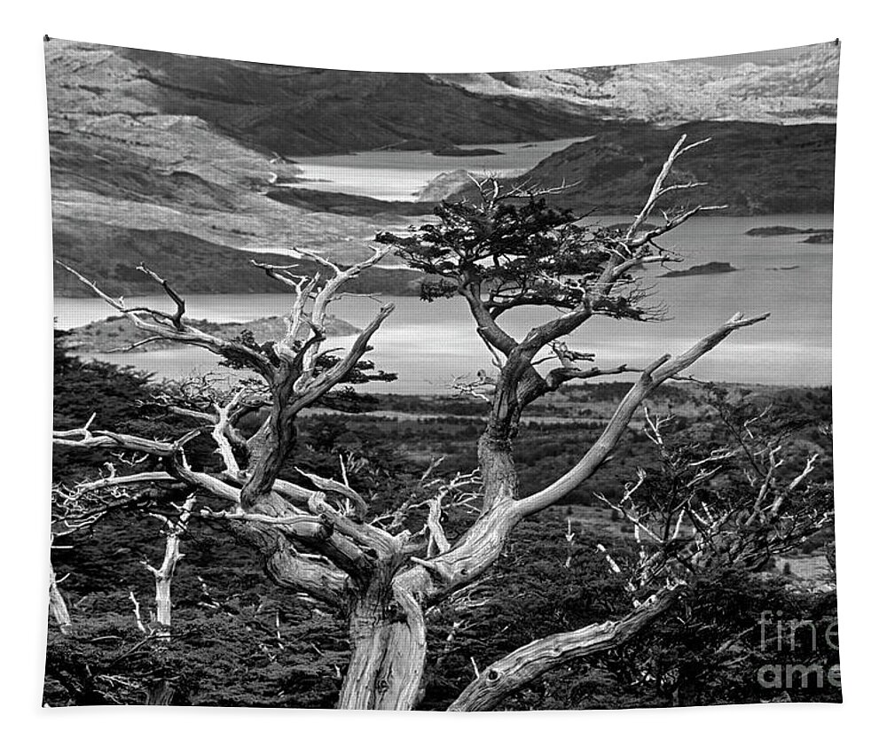 Black And White Tapestry featuring the photograph Chile_115-6 by Craig Lovell