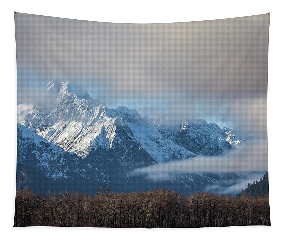 Alaska Tapestry featuring the photograph Chilkat mountains with clearing fog by Michele Cornelius