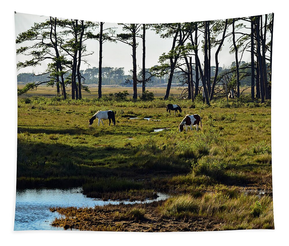 Chincoteague Tapestry featuring the photograph Chincoteague Ponies by Nicole Lloyd