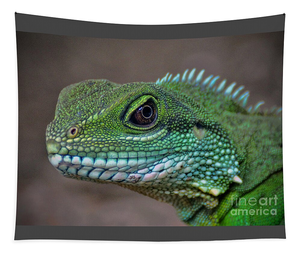 Chinese Tapestry featuring the photograph Chinese Water Dragon by Savannah Gibbs