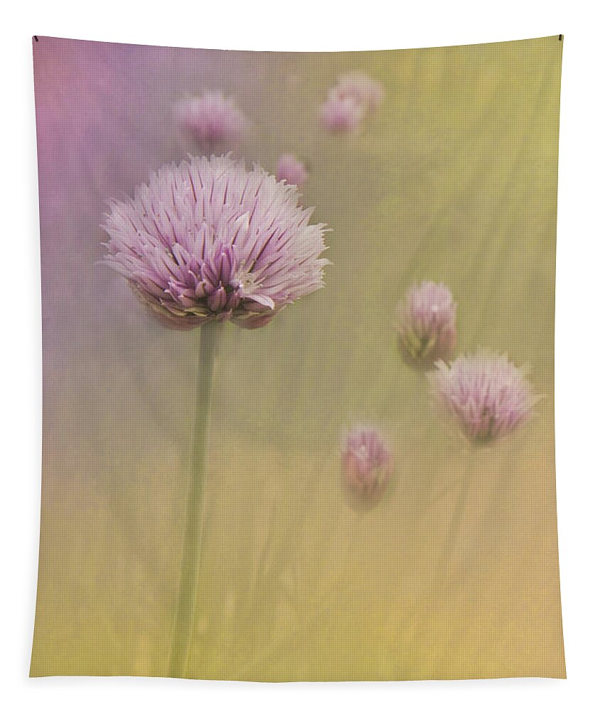 Chives Tapestry featuring the photograph Chives by Pam Holdsworth