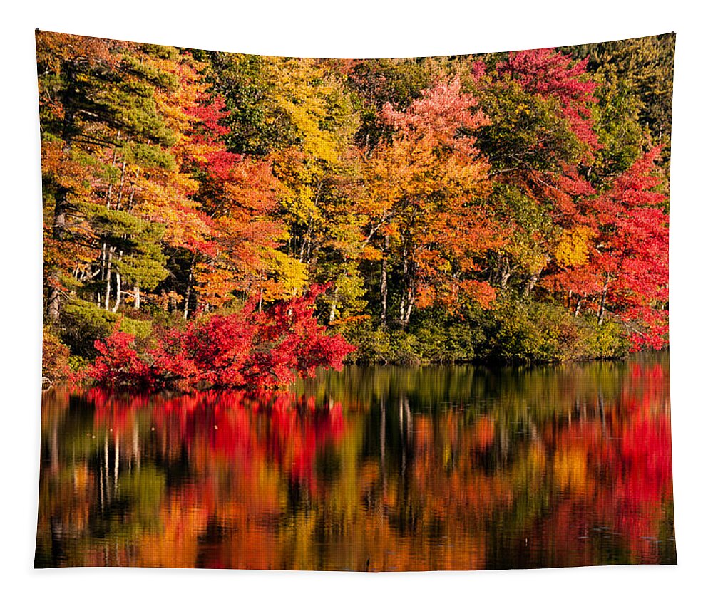 Little Pond Tapestry featuring the photograph Chocorua pond in fall foliage by Jeff Folger