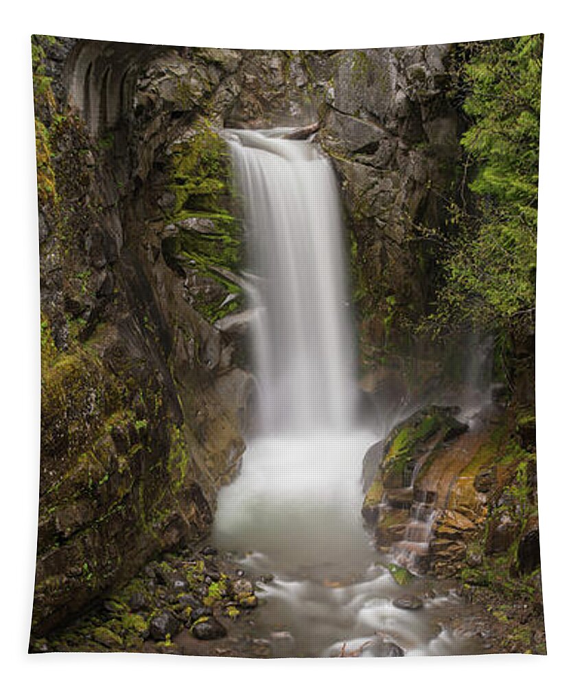 Waterfall Tapestry featuring the photograph Christine Falls Mt Rainier Washington by Steve Gadomski