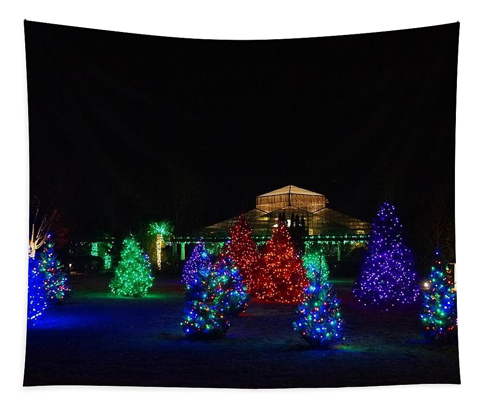  Tapestry featuring the photograph Christmas Garden 7 by Rodney Lee Williams