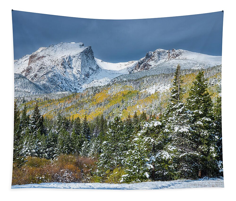 Snow Tapestry featuring the photograph Christmas in the Rockies by Darren White