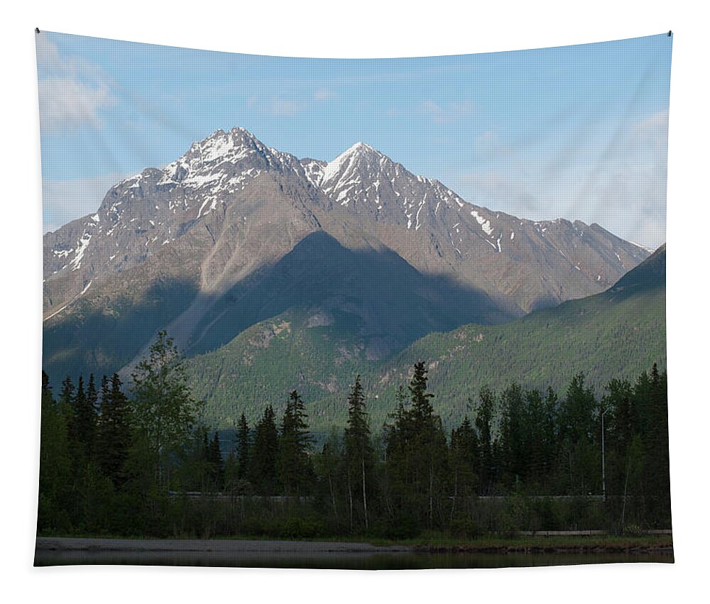 Twin Tapestry featuring the photograph Chugach Mountains Twin Peaks by Robert Braley