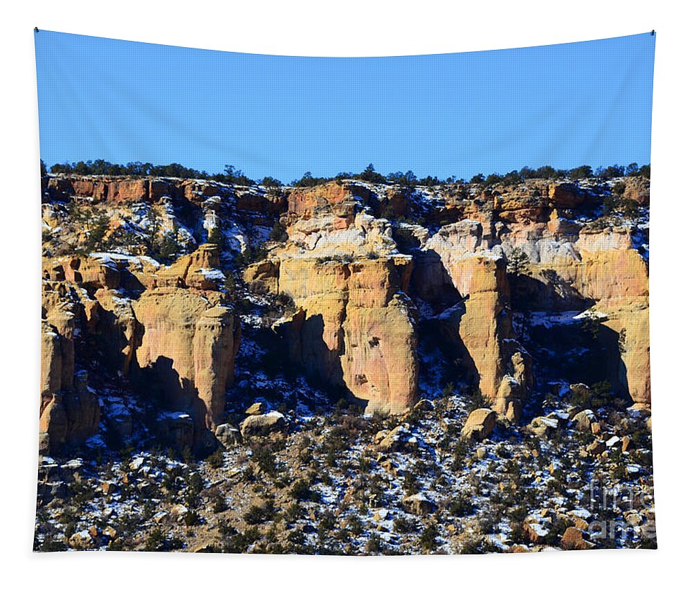 Southwest Landscape Tapestry featuring the photograph Cinco by Robert WK Clark