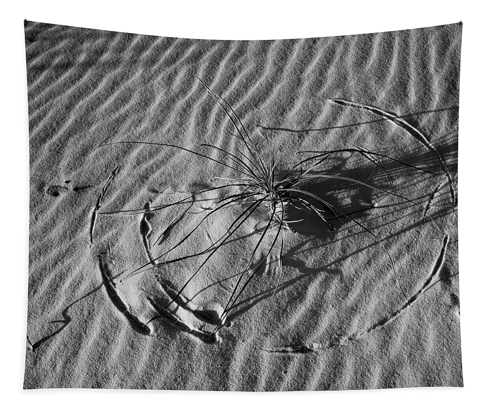 Grass Pattern Tapestry featuring the photograph 214805-BW-Circular Grass Dune Pattern by Ed Cooper Photography